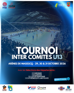 TOURNOI INTER-COMITES U13